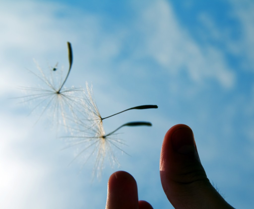 Envol de sa carrière